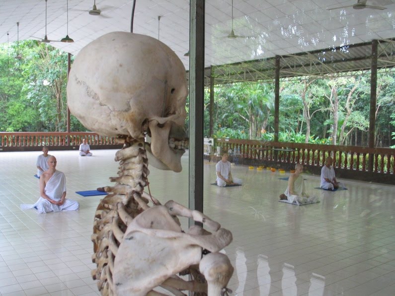A human skeleton displayed in the meditation hall at Wat Pah Nanachat monastery