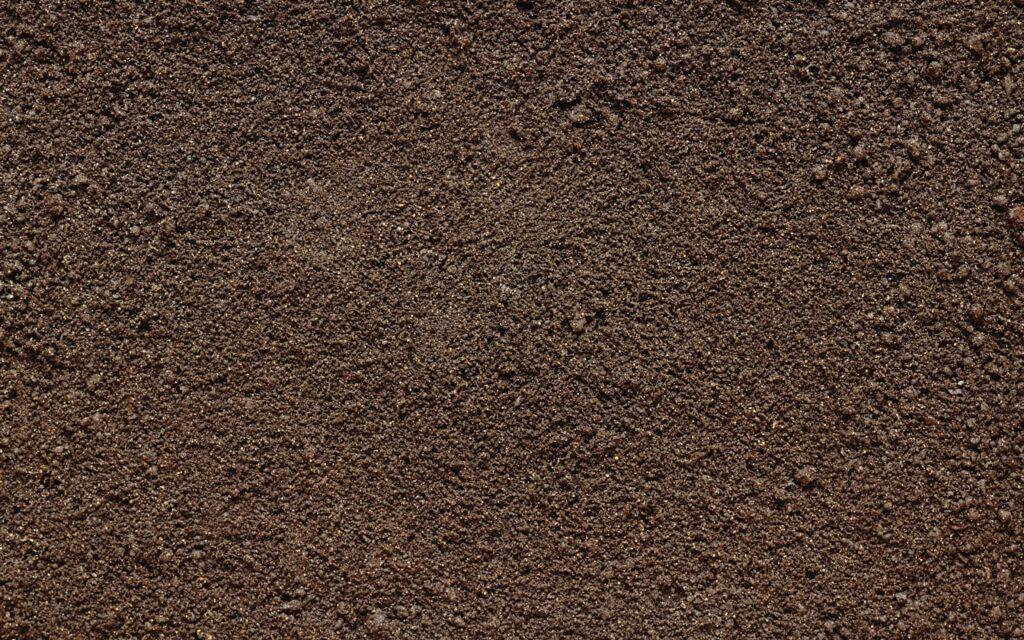A patch of bare earth used as the earth kasina, a meditation device for concentration