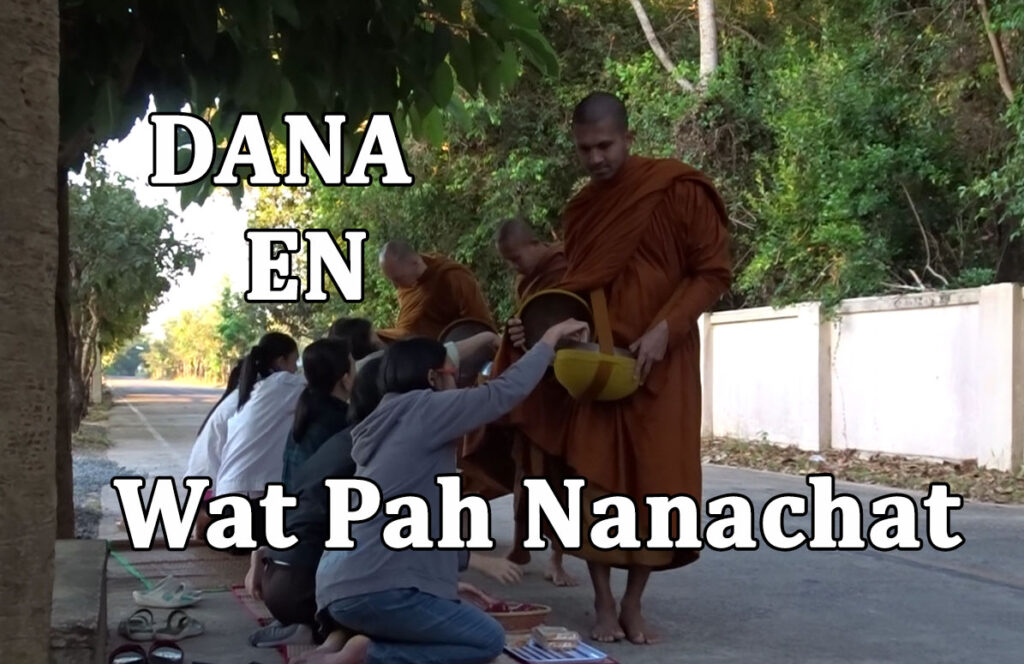 Preparing a food offering for the monks at Wat Pah Nanachat, Thailand