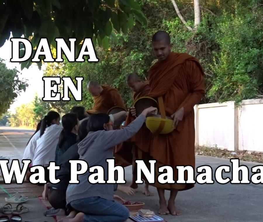 Preparing a food offering for the monks at Wat Pah Nanachat, Thailand